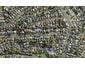 23 Mary Dreaver Street, New Windsor, Auckland - Carousel 1