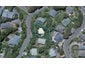 140 Totara Road, Miramar, Wellington - Carousel 1