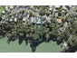 26 Marae Road, Greenhithe, Auckland - Carousel 1