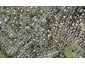 53 Sunnynook Road, Forrest Hill, Auckland - Carousel 1