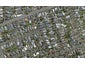 187 Bamborough Street, Richmond, Invercargill - Carousel 1