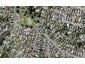 111 Tarawera Terrace, St Heliers, Auckland - Carousel 1