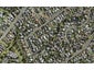 3/88 Webster Avenue, Mount Roskill, Auckland - Carousel 1