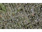 8 Finlayson Avenue, Clendon Park, Auckland - Carousel 1