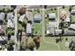 15A Cutler Street, New Lynn, Auckland - Carousel 1