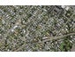 4B Norrie Avenue, Mount Albert, Auckland - Carousel 1