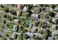 37E Erima Avenue, Point England, Auckland - Carousel 1