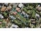 11B Kelsey Crescent, Hillsborough, Auckland - Carousel 1