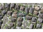 12 Melness Place, Flat Bush, Auckland - Carousel 1