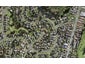 19/12 Balfron Avenue, Mount Roskill, Auckland - Carousel 1