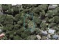 14 Kereru Place, Upper Vogeltown, New Plymouth - Carousel 1