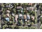6 Leinster Street, New Windsor, Auckland - Carousel 1