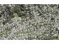 24 Fitzwilliam Drive, Torbay, Auckland - Carousel 1