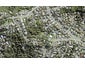 115 Glenvar Road, Torbay, Auckland - Carousel 1