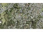 7 Konini Road, Titirangi, Auckland - Carousel 1