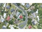 13 Kaimai Place, Hairini, Tauranga - Carousel 1