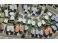 11 Fono Crescent, Mangere, Auckland - Carousel 1