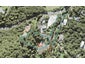 1014A Scenic Drive North, Swanson, Auckland - Carousel 1