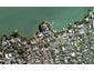 60E Sentinel Road, Herne Bay, Auckland - Carousel 1