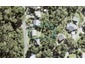 32 Jamieson Road, Mahurangi West, Warkworth - Carousel 1