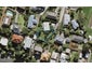 5B Boyd Avenue, Royal Oak, Auckland - Carousel 1