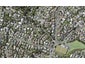 8 Heathcote Road, Castor Bay, Auckland - Carousel 1