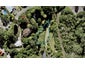 57 Endeavour Street, Blockhouse Bay, Auckland - Carousel 1