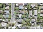 8 Springside Place, New Lynn, Auckland - Carousel 1