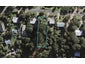 10 Victoria Road South, Onetangi, Waiheke Island - Carousel 1