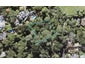 4 Happeace Lane, Titirangi, Auckland - Carousel 1