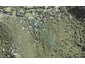83 Glenesk Road, Piha - Carousel 1
