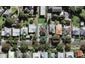 23 Malvern Road, Morningside, Auckland - Carousel 1