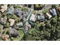 99 Bushlands Park Drive, Albany, Auckland - Carousel 1