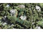 214 Carter Road, Oratia, Auckland - Carousel 1