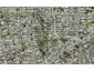 20 Springside Place, New Lynn, Auckland - Carousel 1