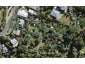18 Tiri Road, Oneroa, Waiheke Island - Carousel 1
