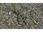 20F Barrie Avenue, Papatoetoe, Auckland - Carousel 1