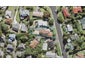 10 Glenwood Avenue, Birkenhead, Auckland - Carousel 1