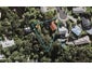15 Felstead Street, Birkenhead, Auckland - Carousel 1