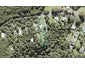 58 Mountain Road, Henderson Valley, Auckland - Carousel 1