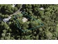 76 Park Road, Titirangi, Auckland - Carousel 1