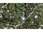 143 Konini Road, Titirangi, Auckland - Carousel 1