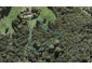 5 Trig Station Rise, Paremoremo, Auckland - Carousel 1