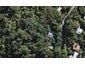 31 Glen Brook Road, Ōmiha, Waiheke Island - Carousel 1