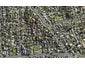 111B New Windsor Road, New Windsor, Auckland - Carousel 1
