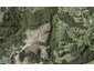 63 Griggs Road, East Tamaki Heights, Auckland - Carousel 1