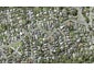 1B Sandford Street, Campbells Bay, Auckland - Carousel 1