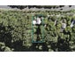 510 Huia Road, Laingholm, Auckland - Carousel 1