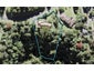15 Atarua Gardens, Waiatarua, Auckland - Carousel 1
