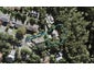 16 Fitzpatrick Place, Chatswood, Auckland - Carousel 1